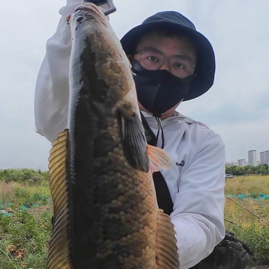 嘉乡餐子哥