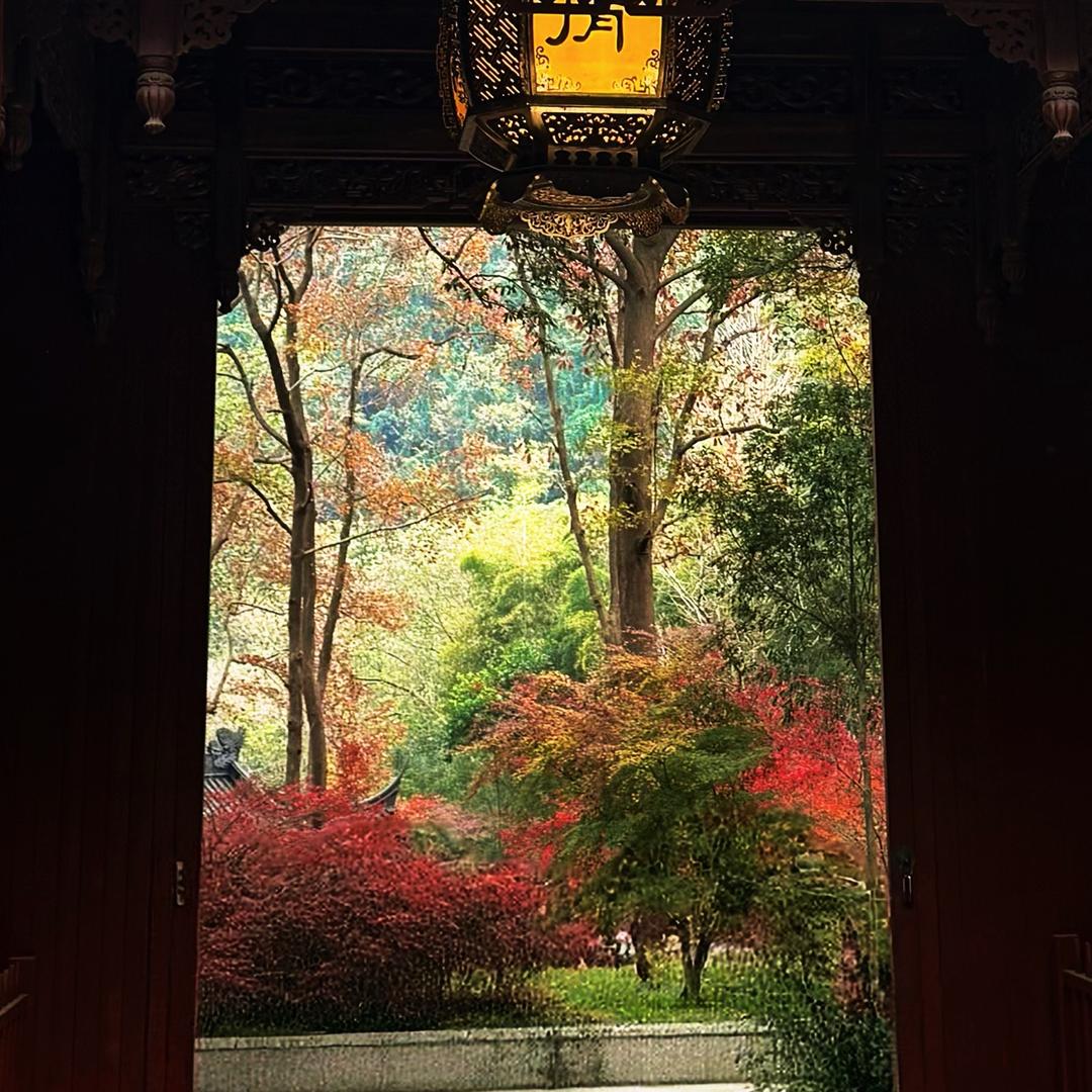 最近一点都不烦