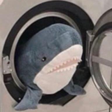 一只哈鱼