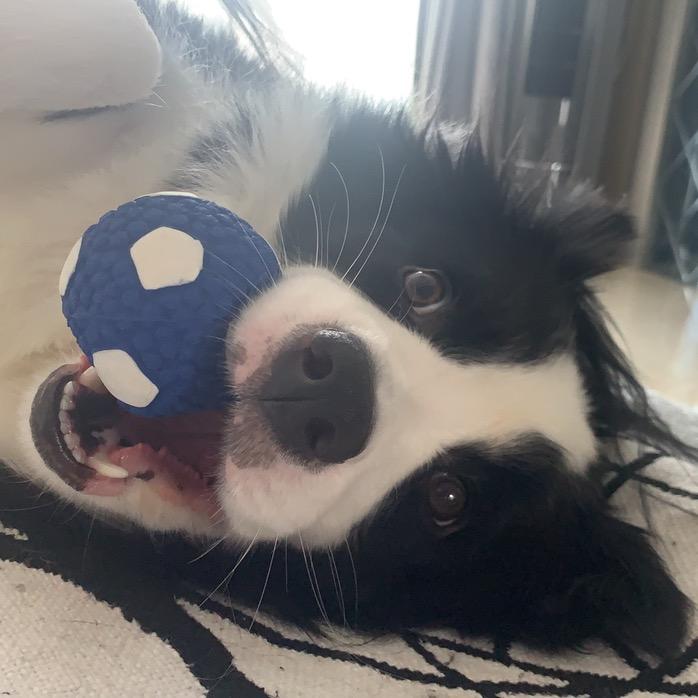 ʚ🌈ིྀɞ可可爱爱