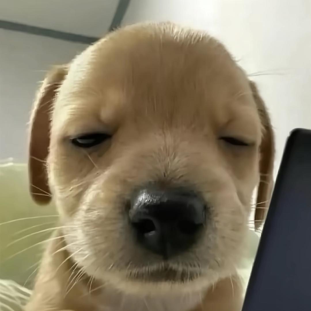 西瓜鲁