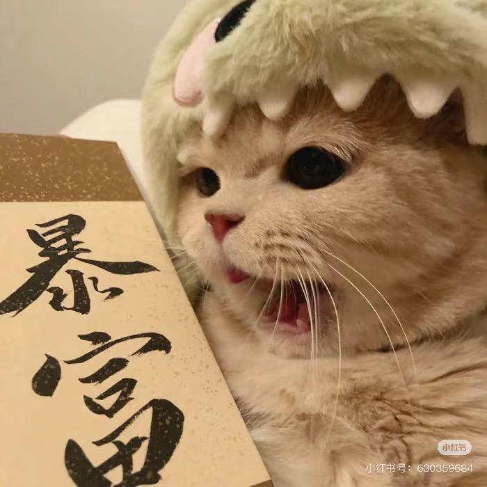 猫尚司Homebar(合景睿峰店)