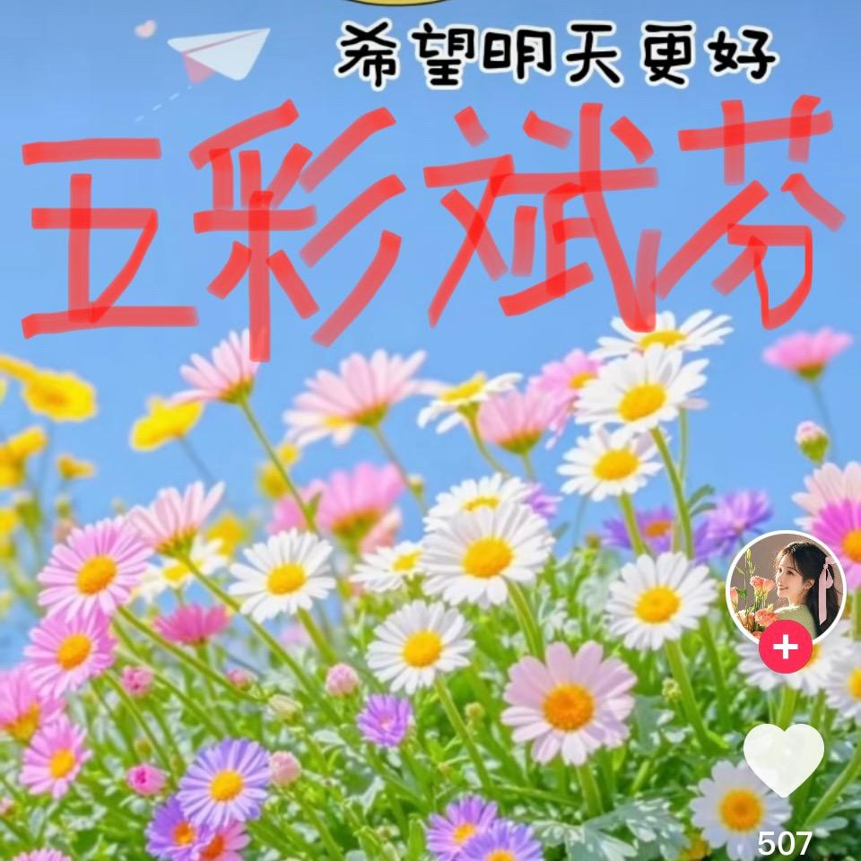 红豆花开