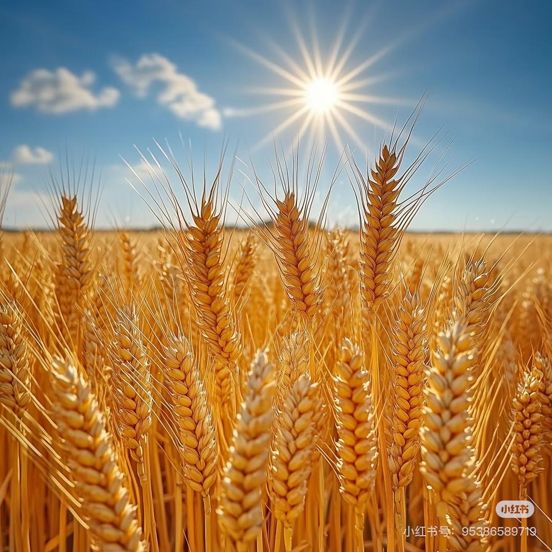 红旗飘扬我心飞扬🌈🌈（拒绝私聊）