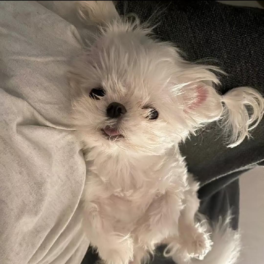 Tina ^