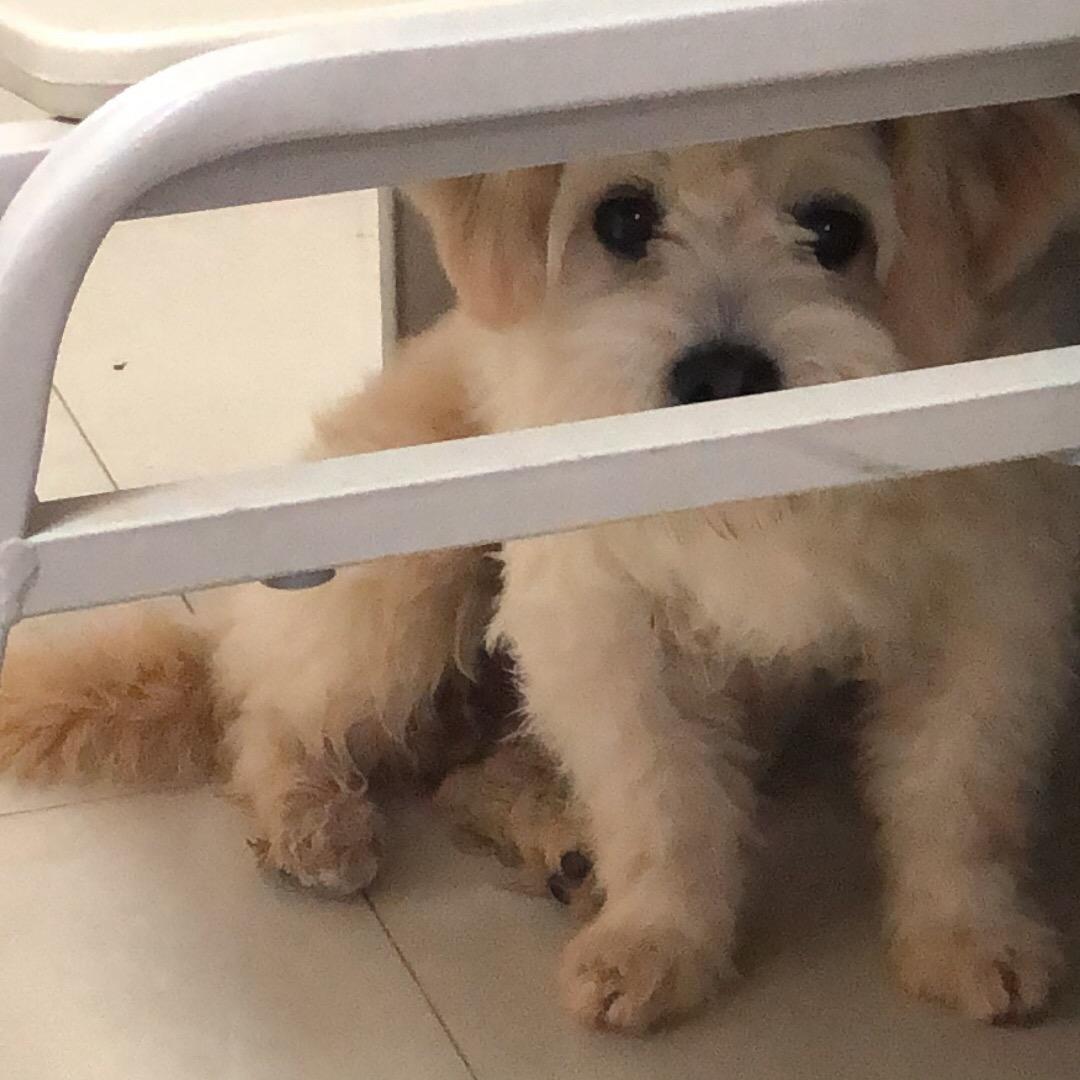 心若向阳
