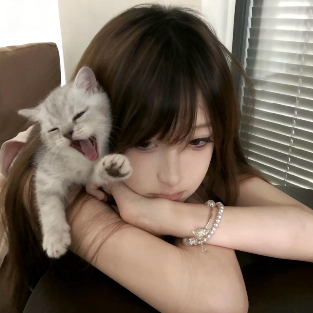 泡菜💤