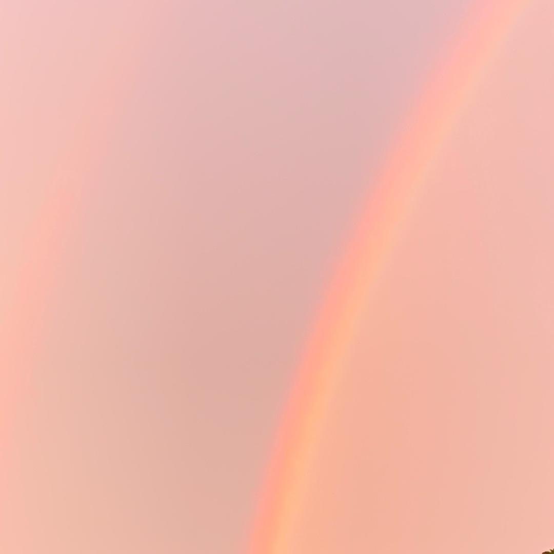 彩