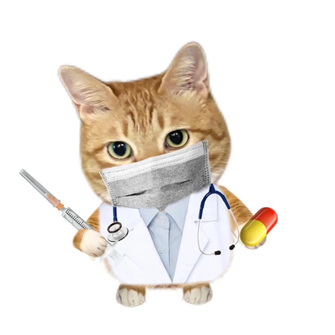 爱BBbuild的小白同学