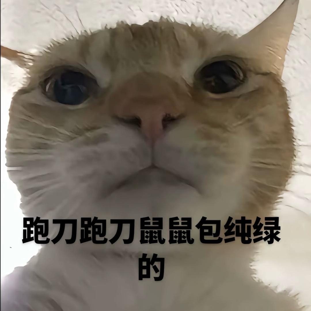 跑刀鼠一只（三角洲行动）