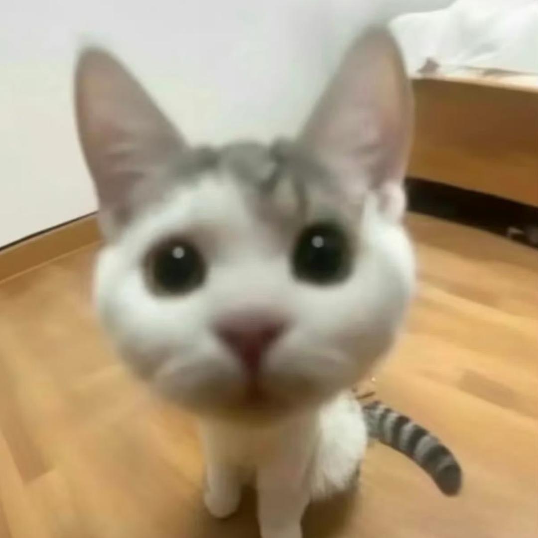 盐巴