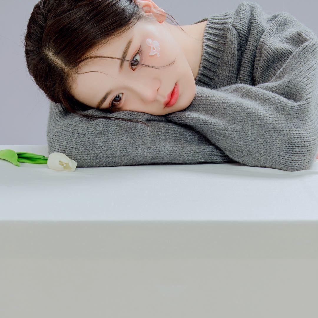 梓情甄选🌷