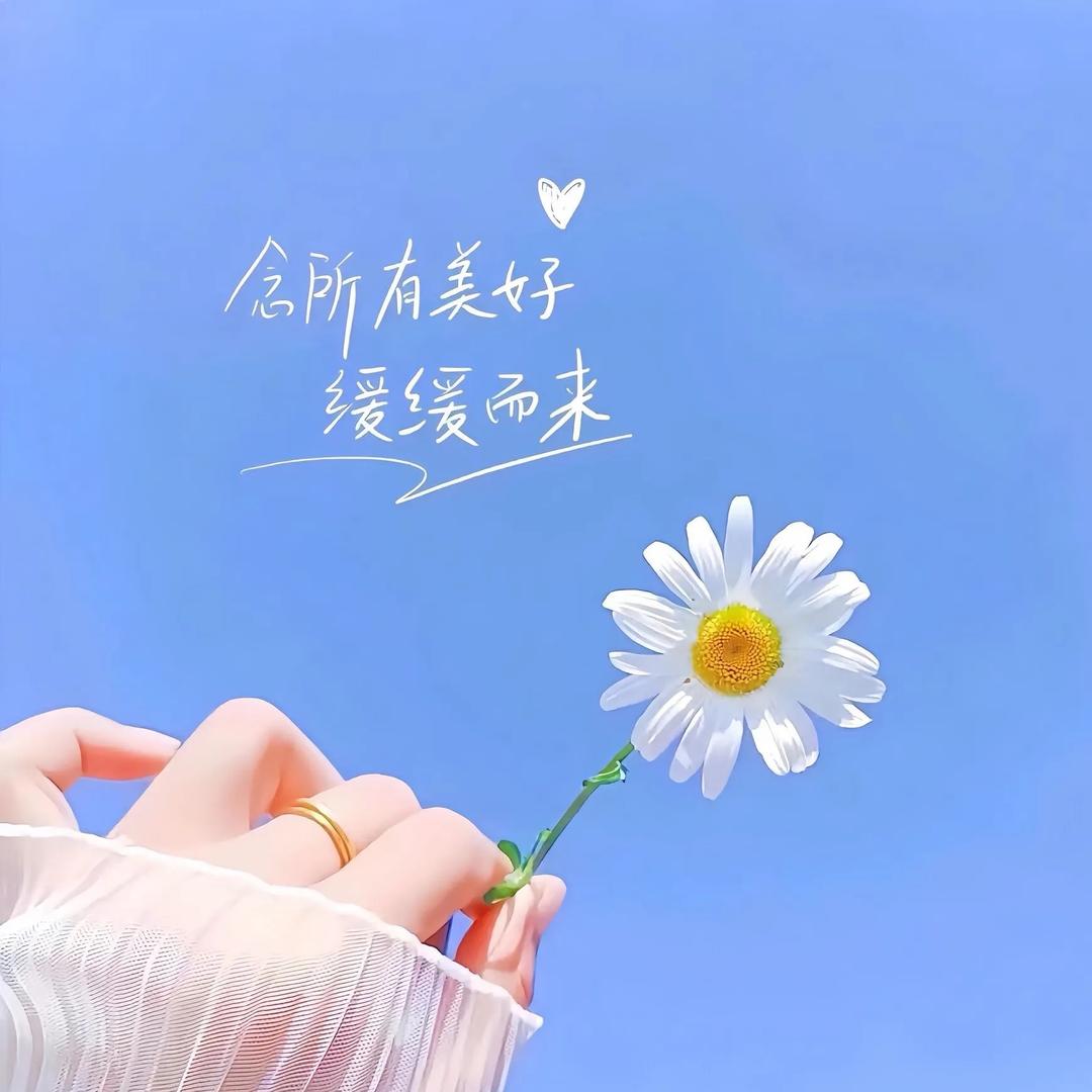 魔法少女朱壮壮