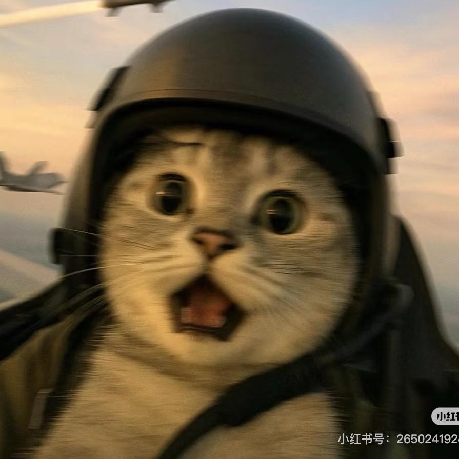 七柒娱乐