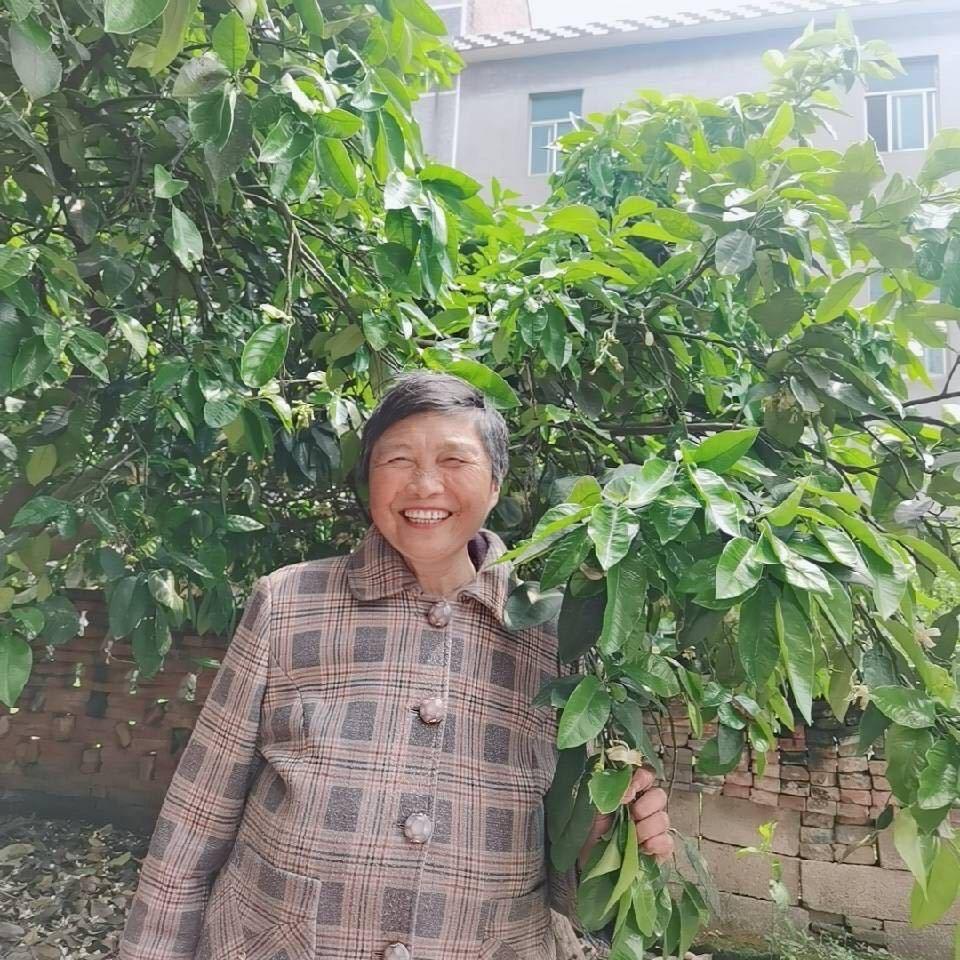 玉兰