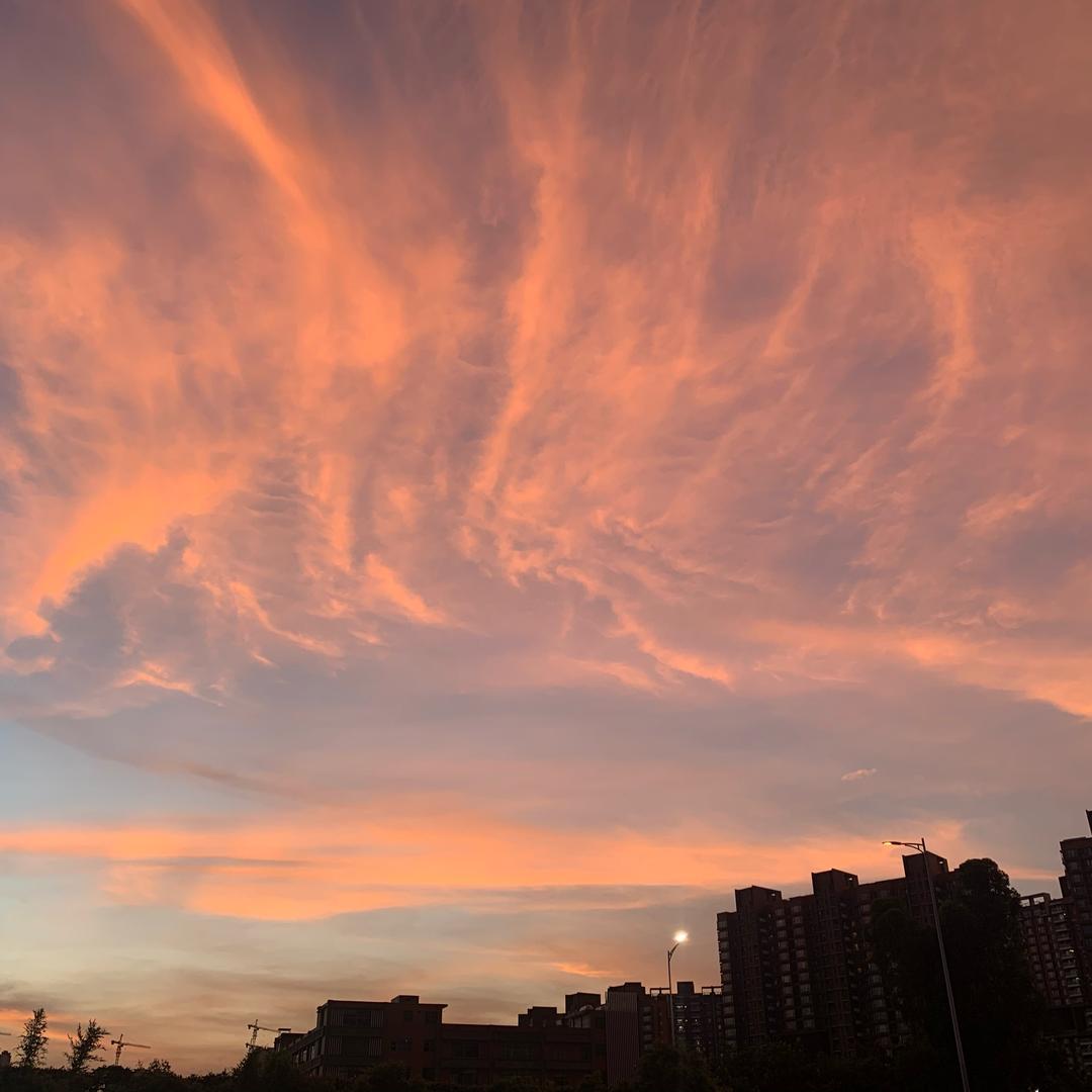 🌈歪比巴卜