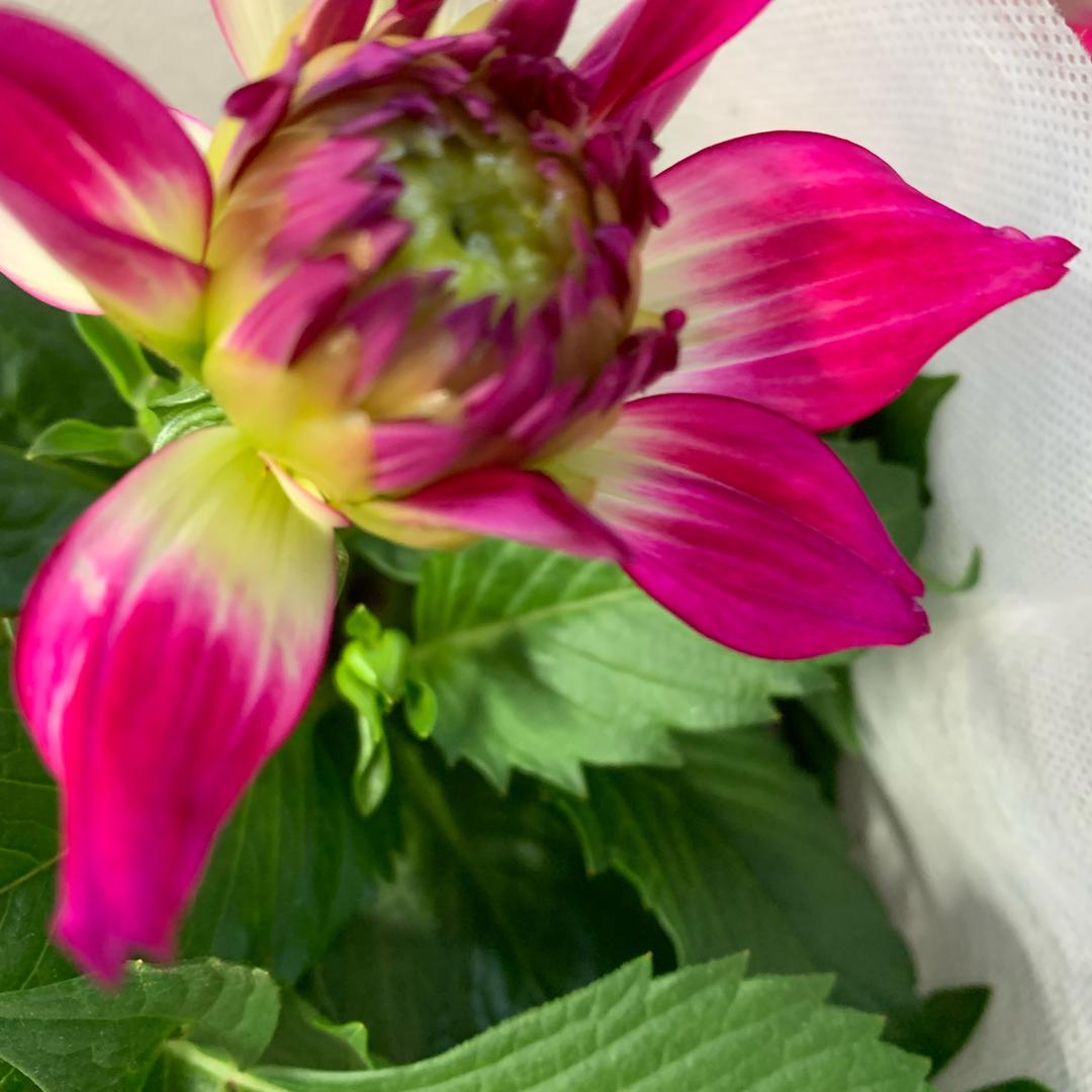 开心快乐每一天