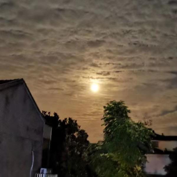 太易
