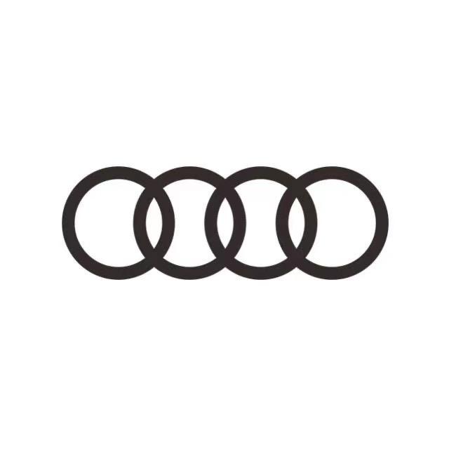 一汽奥迪新能源-桐乡德奥