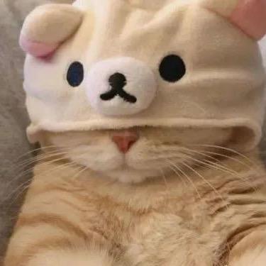 话说你说话