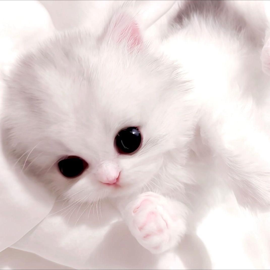 小幼