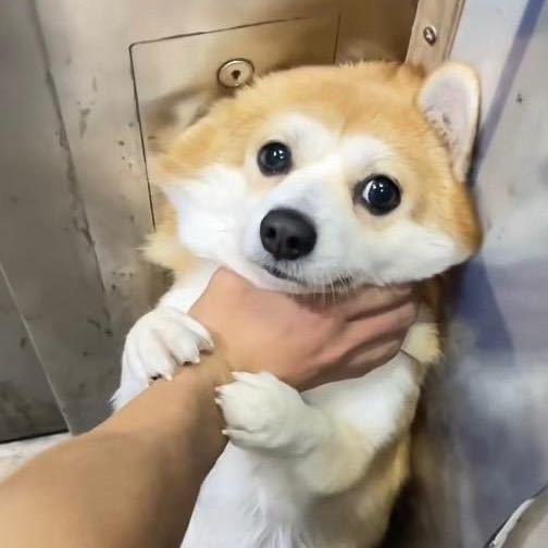 张志明
