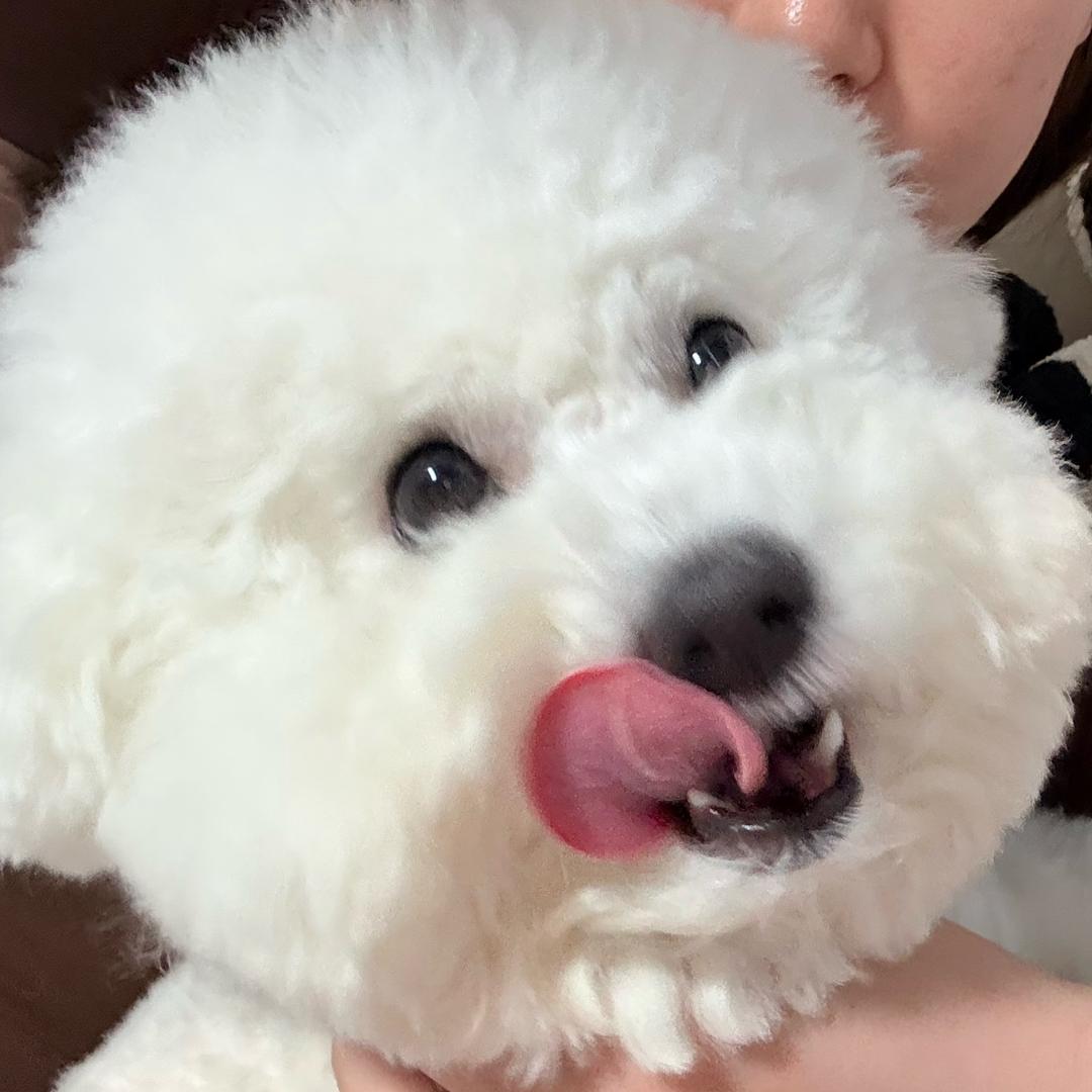 尤妮不是油腻