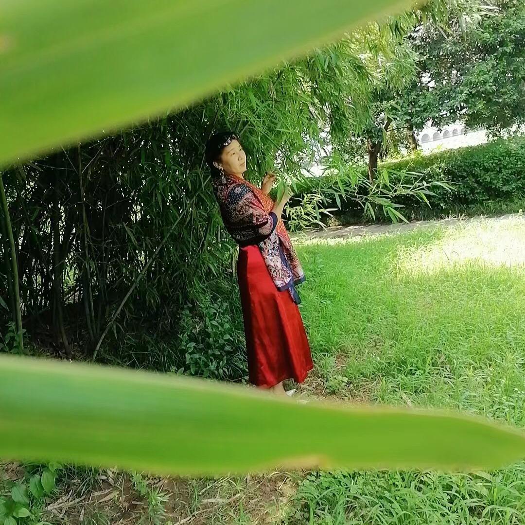 yd雨点
