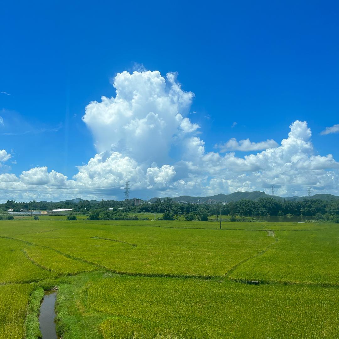 天很兰☁️云很白
