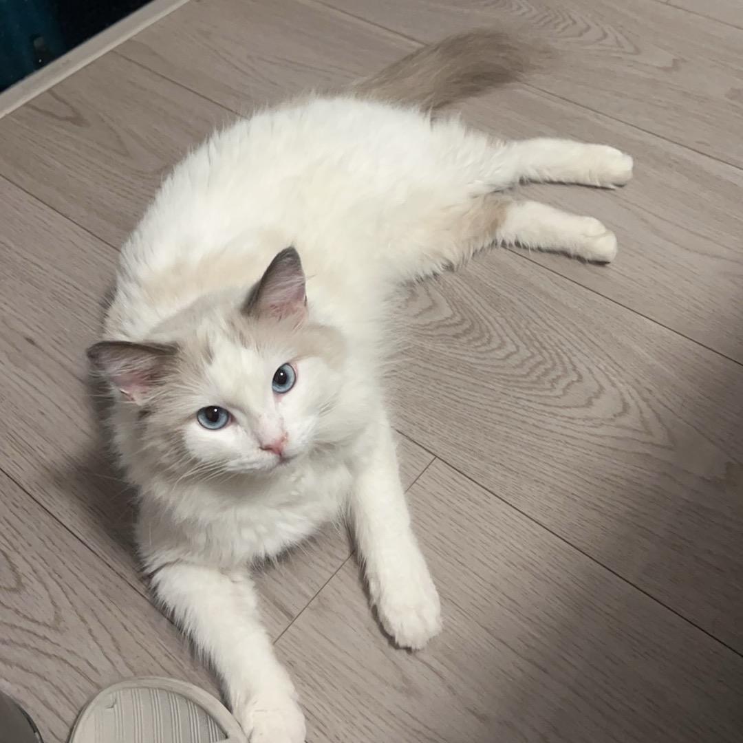 張吥帥