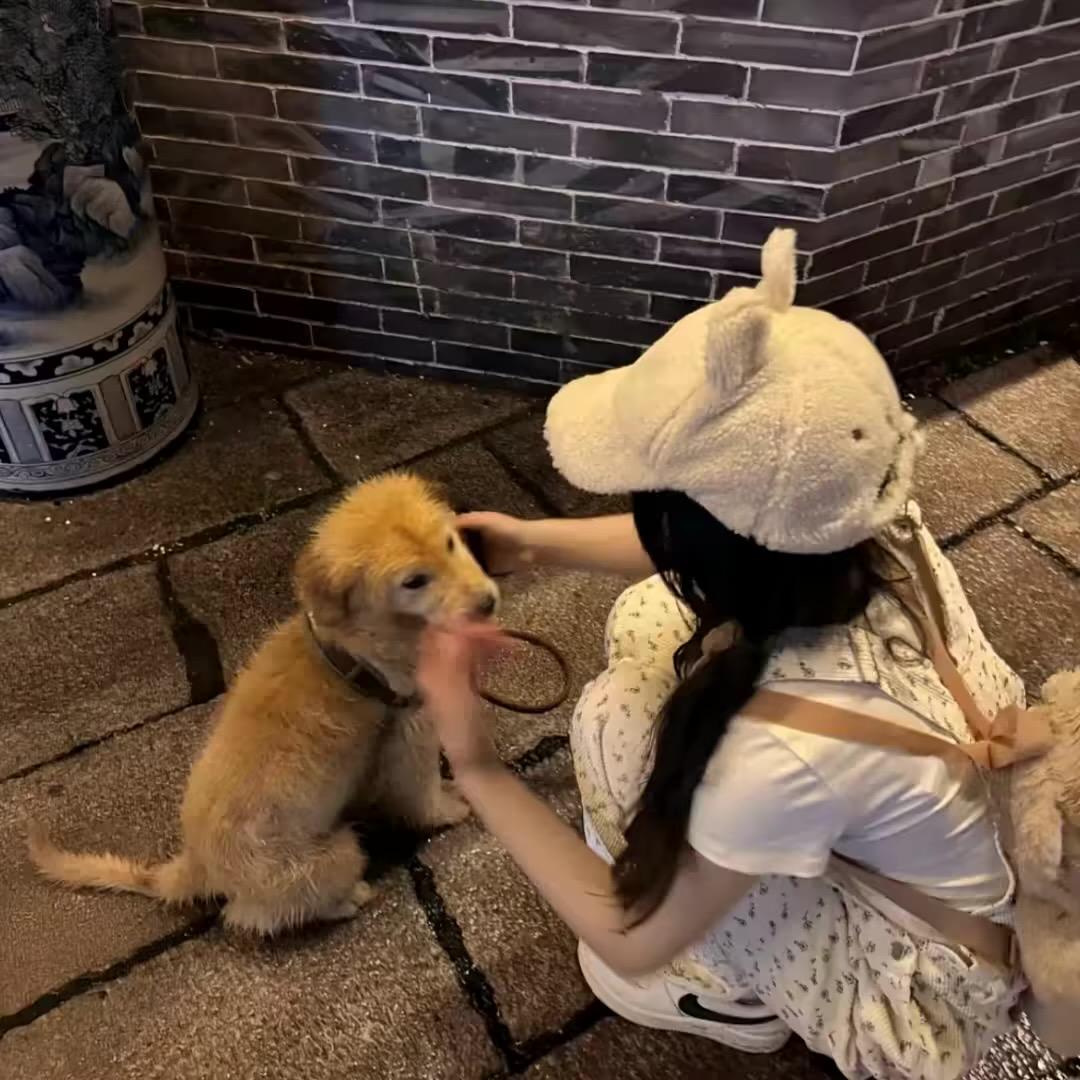 去年网恋被骗了两万 今年准备了四万