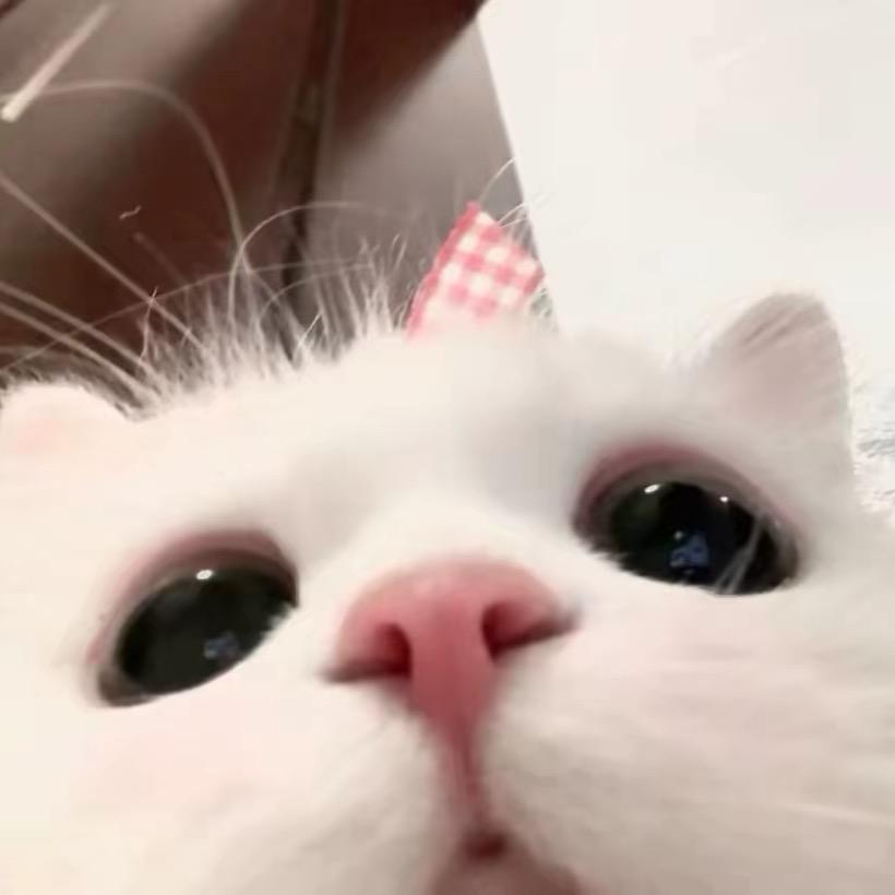 1 2 3