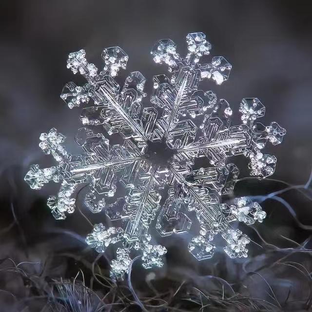 ❄️天堂❄️飘雪❄️