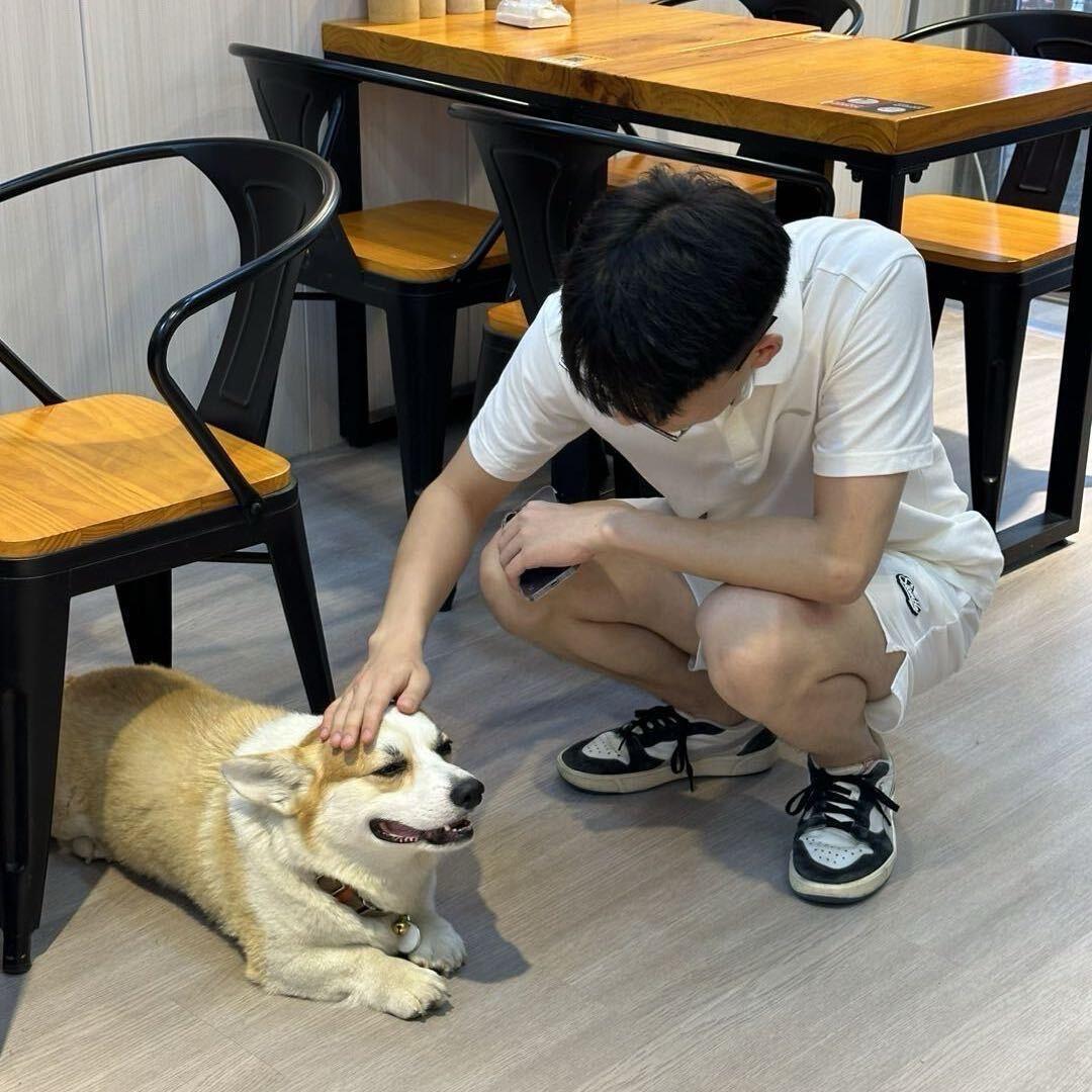 高冷的冰西瓜