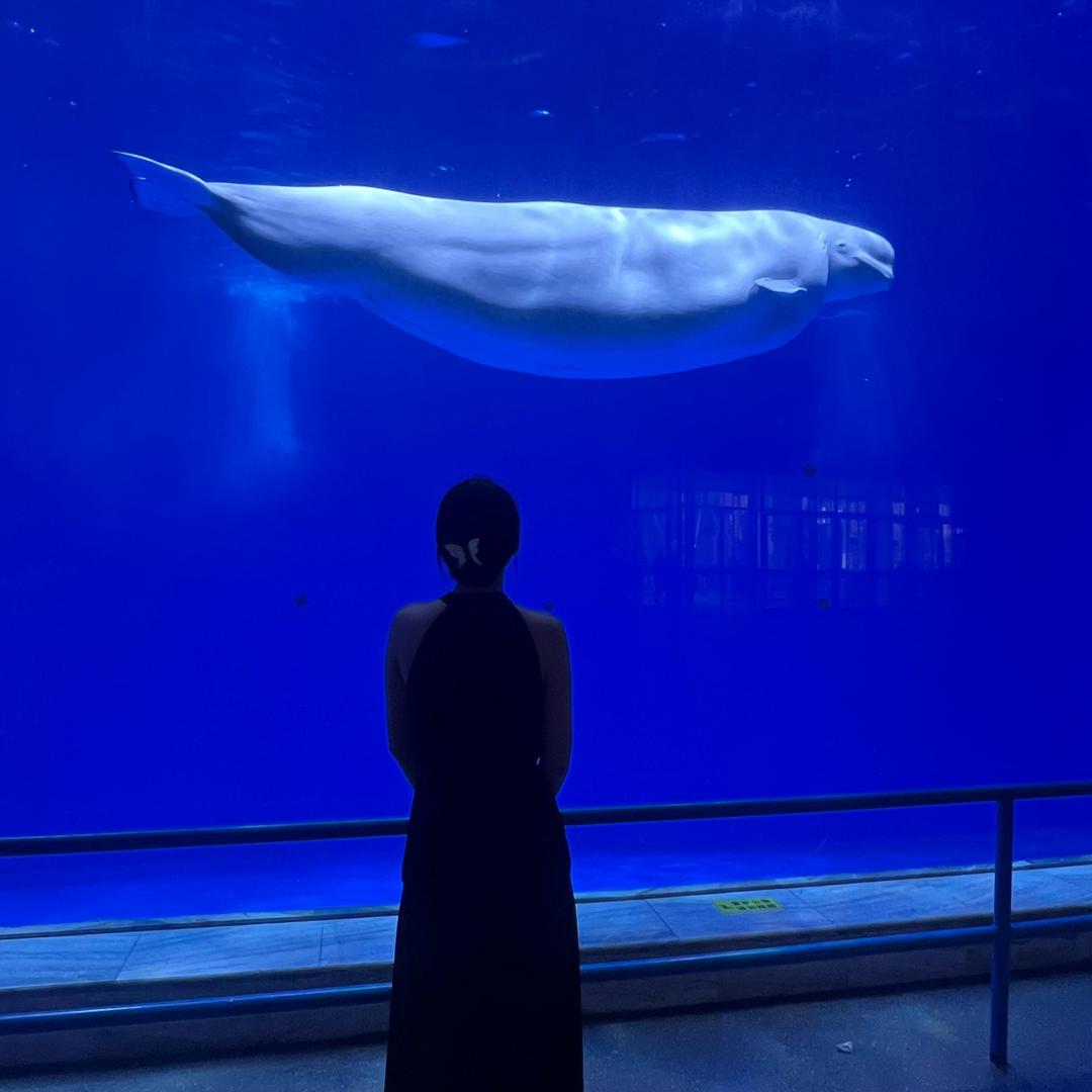 圆圆财💜