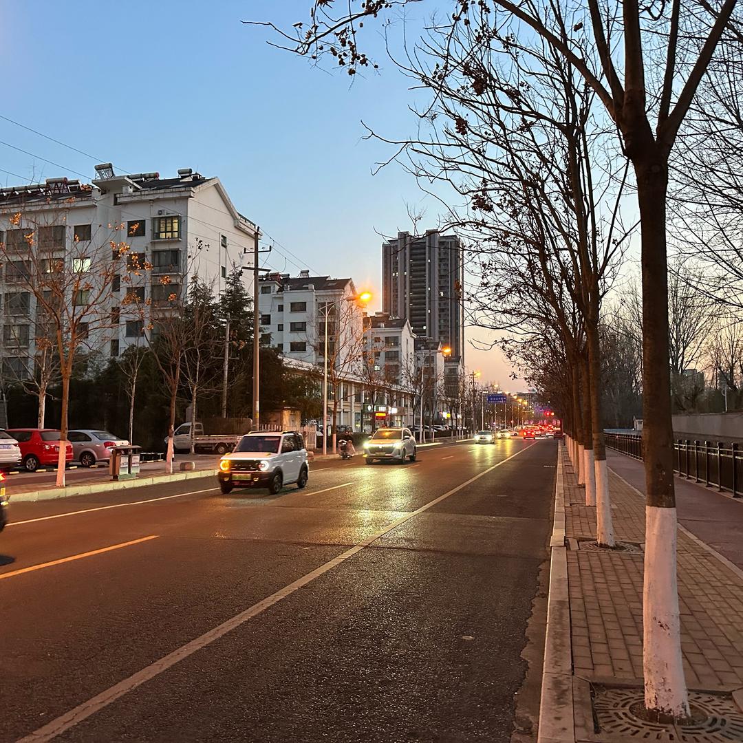 陶彦彤