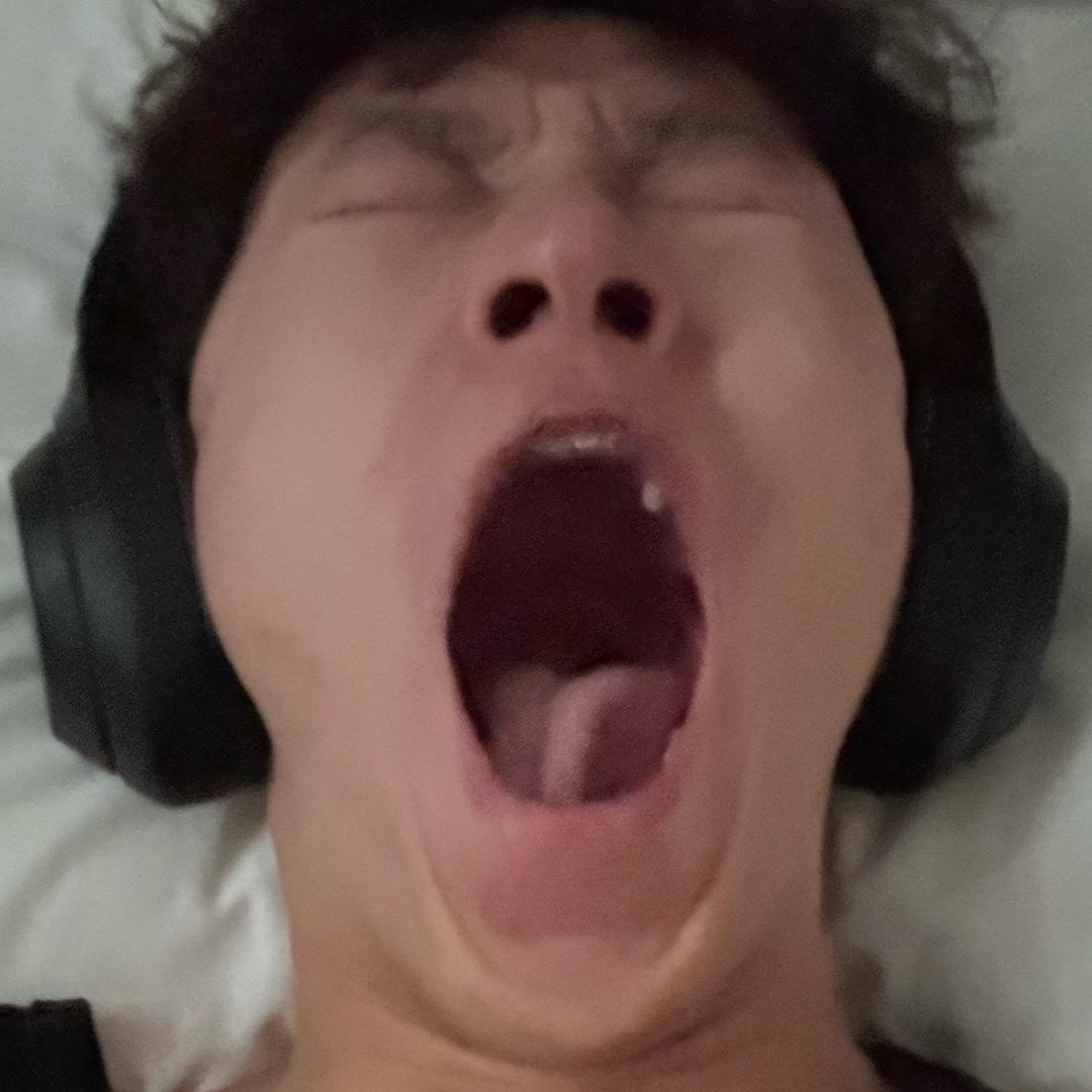 卷毛菜