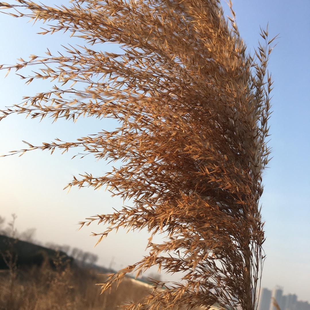 最熟叙的陌生人