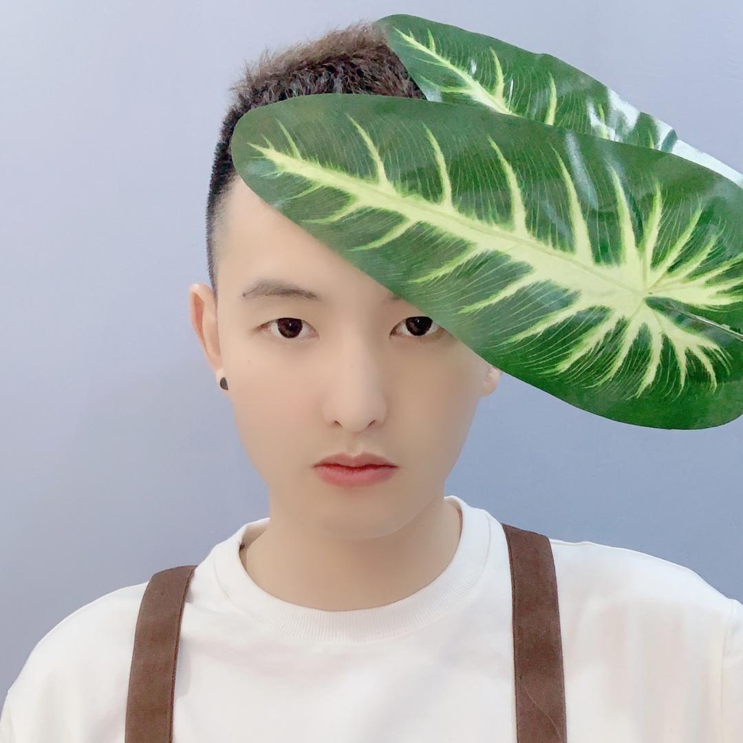 凯哥养花档案