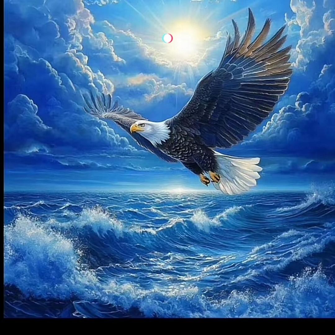 海岛❤️‍🔥征战❤️‍🔥