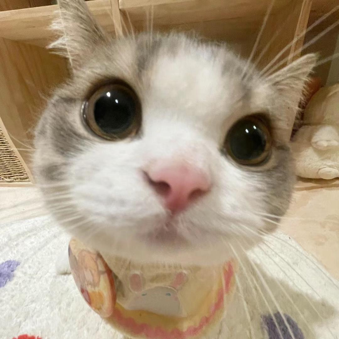 别听慢歌