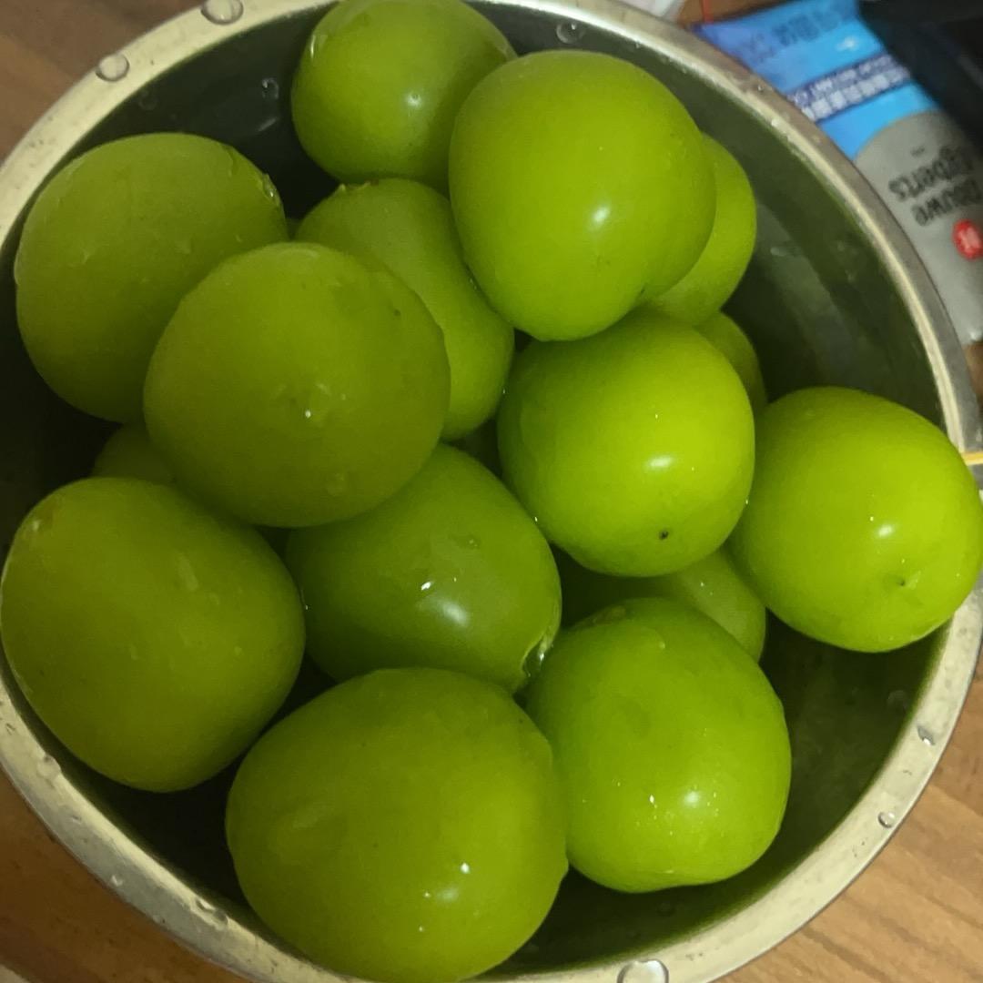 觀德於忍