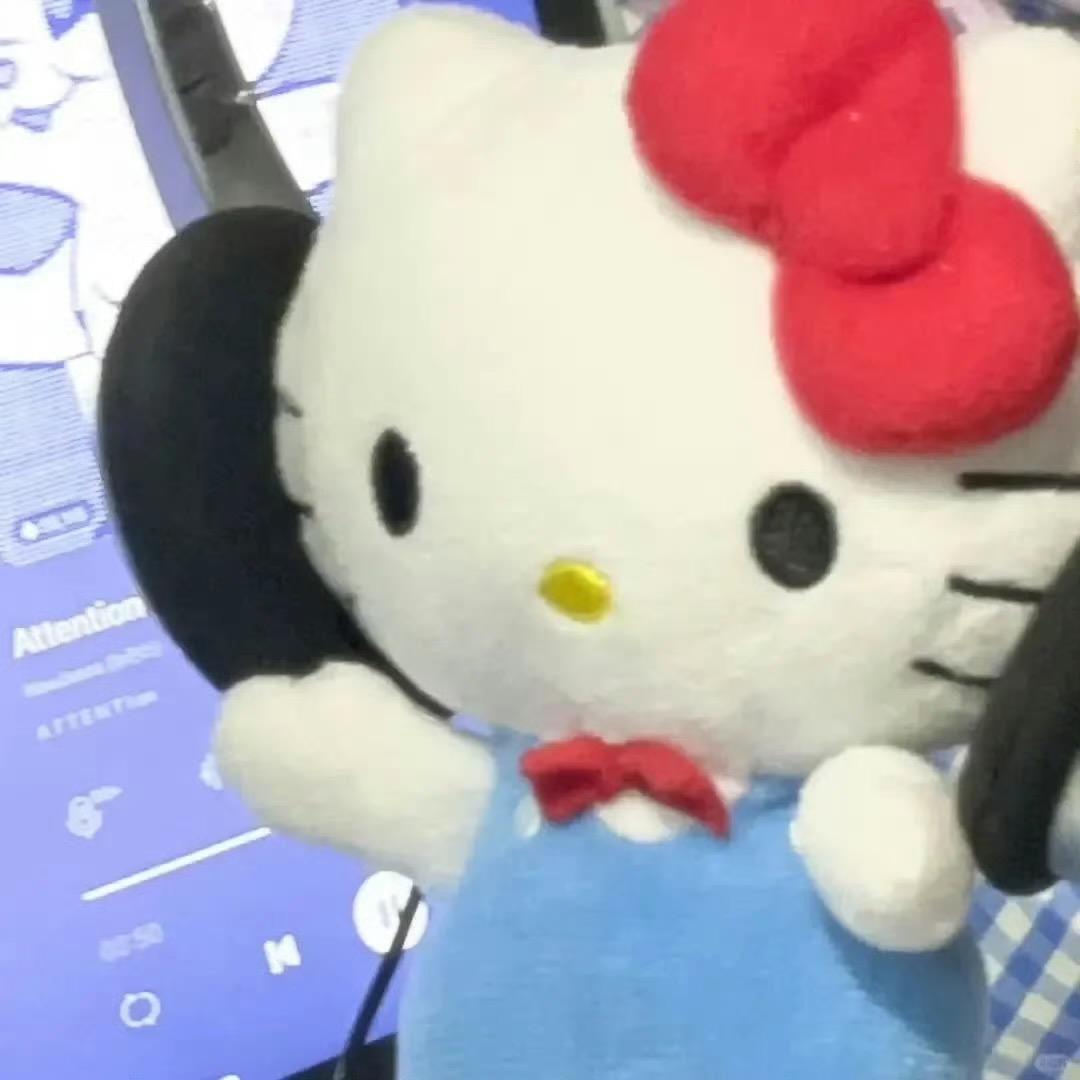 抹茶猫猫