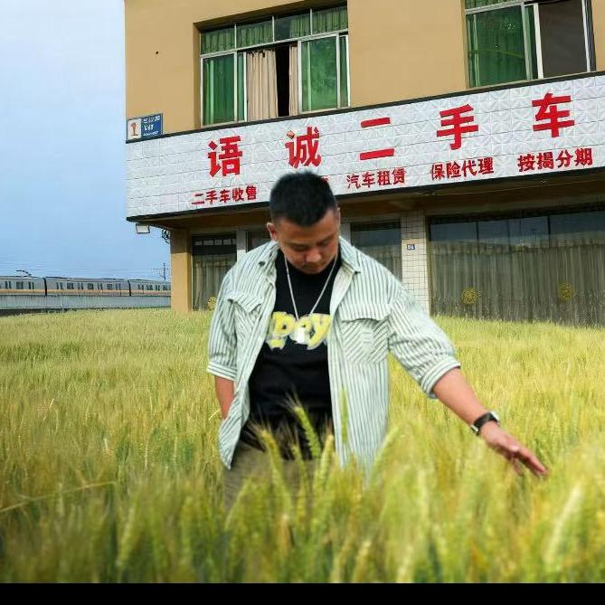 语诚二手车