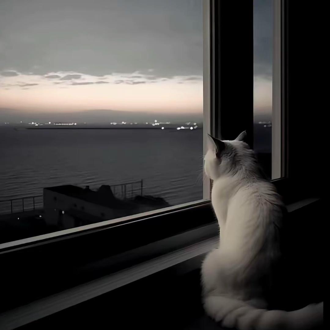 喜欢 晴空微澜 🌤️