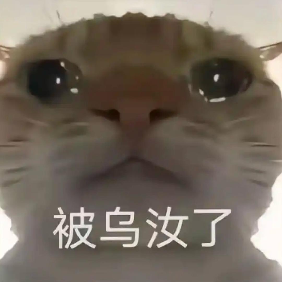 哈吉鼠