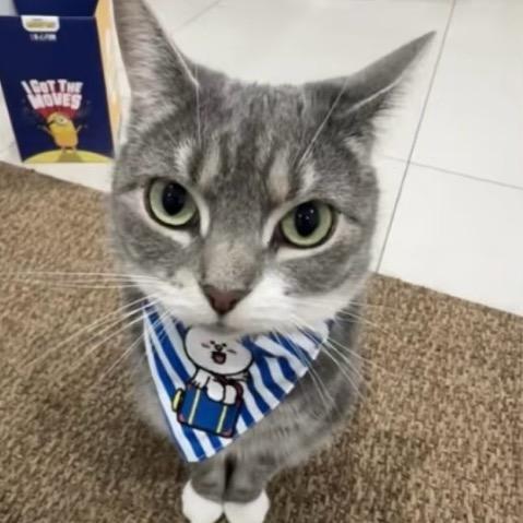 小小昂