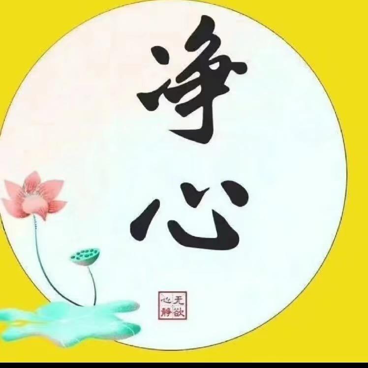 蒲公英