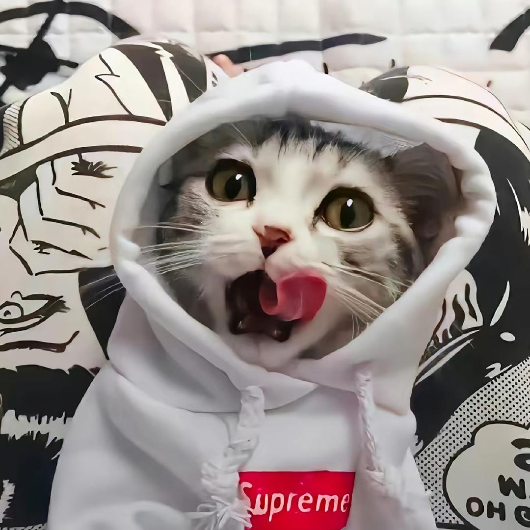 @每天睡不醒💤