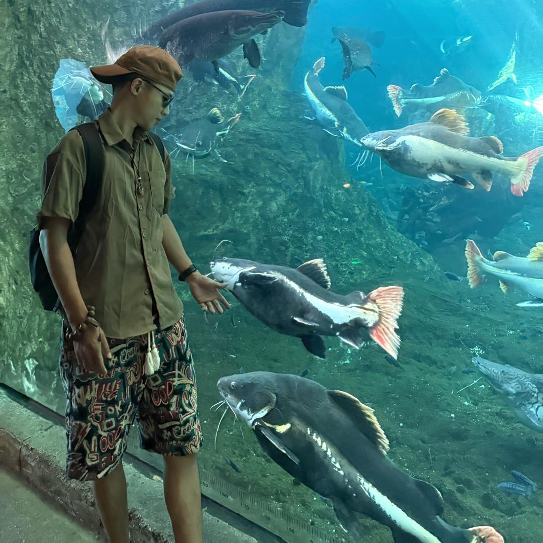 天空传来一身巨响